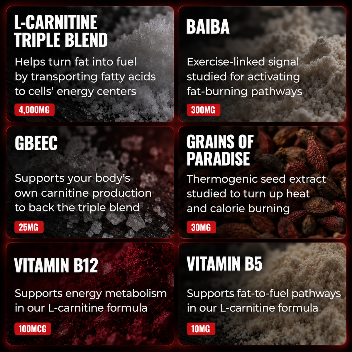 L-Carnitina Líquida 4000MG